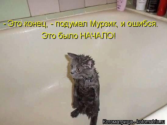 Котоматрица: - Это конец, - подумал Мурзик, и ошибся. Это было НАЧАЛО!