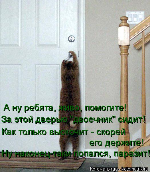 Котоматрица: А ну ребята, живо, помогите! За этой дверью "двоечник" сидит! Как только выскочит - скорей  его держите! Ну наконец-таки попался, паразит!