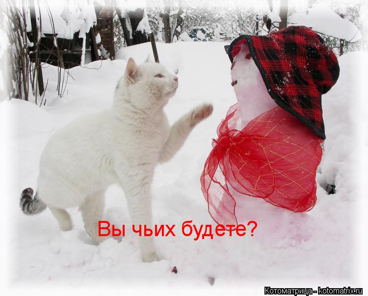 Вы чьих будете?... Котоматрица: Вы чьих будете?