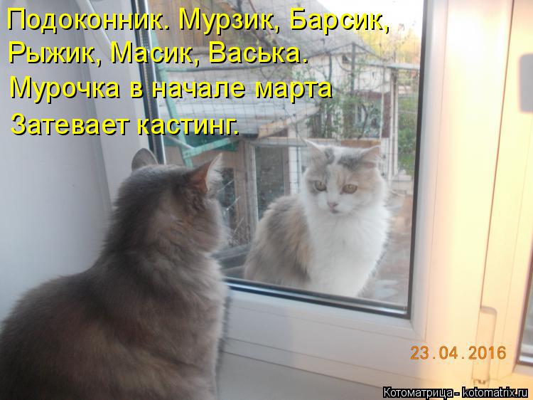 Подоконник. Мурзик, Барсик, Рыжик, Масик, Васька. Мурочка в начале марта Затевает кастинг.... Котоматрица: Подоконник. Мурзик, Барсик, Рыжик, Масик, Васька. Мурочка в начале марта Затевает кастинг.