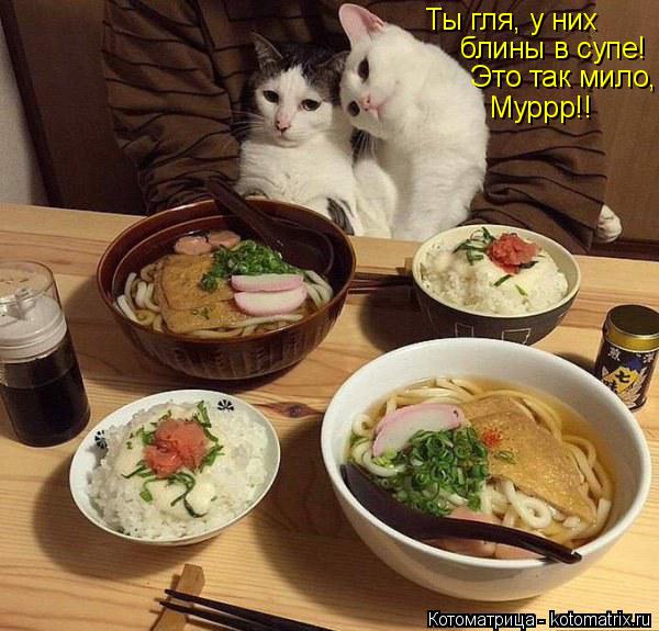 Ты гля, у них блины в супе! Это так мило, Муррр!!... Котоматрица: Ты гля, у них блины в супе! Это так мило, Муррр!!