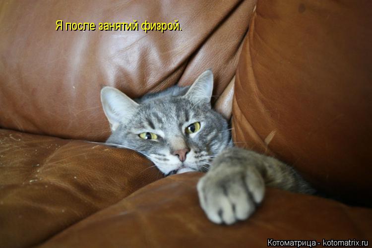 Котоматрица: Я после занятий физрой.