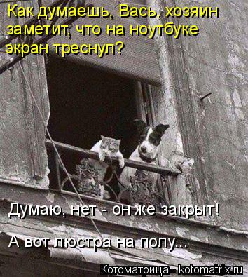 Котоматрица: Как думаешь, Вась, хозяин  заметит, что на ноутбуке экран треснул? Думаю, нет - он же закрыт! А вот люстра на полу...