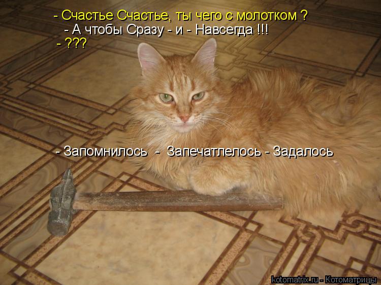 Котоматрица: - Счастье Счастье, ты чего с молотком ? - А чтобы Сразу - и - Навсегда !!!  - ???  - Запомнилось  -  Запечатлелось - Задалось