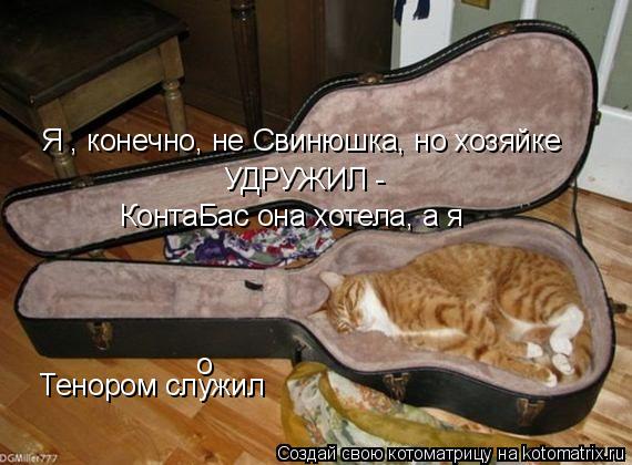 Котоматрица: Я , конечно, не Свинюшка, но хозяйке  УДРУЖИЛ -  КонтаБас она хотела, а я Тенором служил о