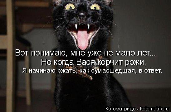 Котоматрица: Вот понимаю, мне уже не мало лет...  Но когда Вася корчит рожи, Я начинаю ржать, как сумасшедшая, в ответ.