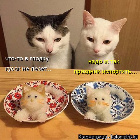 Котоматрица: что-то в глодку кусок не лезет... надо ж так праздник испортить...