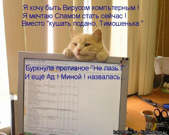 Котоматрица: Я хочу быть Вирусом компътерным ! Я мечтаю Спамом стать сейчас ! Вместо "кушать подано, Тимошенька " Буркнула противное "Не лазь !" И ещё Ад ! Ми