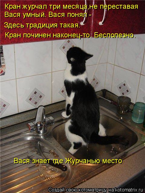 Котоматрица: Кран журчал три месяца,не переставая Вася умный. Вася понял - Здесь традиция такая. Кран починен наконец-то. Бесполезно. Вася знает где Журча