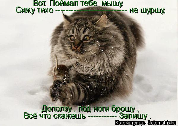 Котоматрица: Вот. Поймал тебе  мышу. Сижу тихо --------------------------- не шуршу, Доползу , под ноги брошу , Всё что скажешь ----------- Запишу .