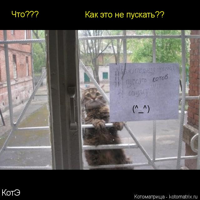 Котоматрица: Что??? Как это не пускать?? (^_^) КотЭ