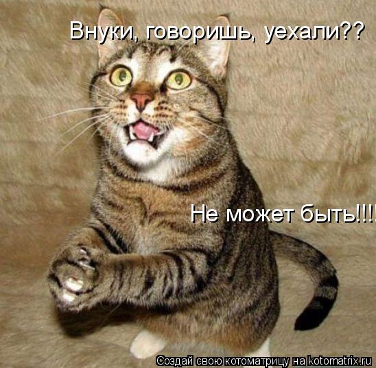 Котоматрица: Внуки, говоришь, уехали?? Не может быть!!!!!