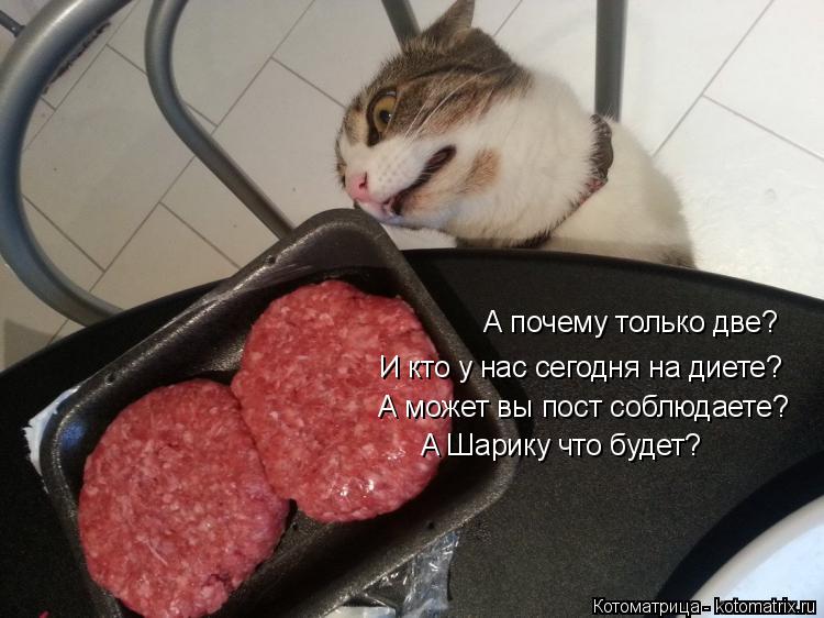 Котоматрица: А почему только две? И кто у нас сегодня на диете? А может вы пост соблюдаете? А Шарику что будет?