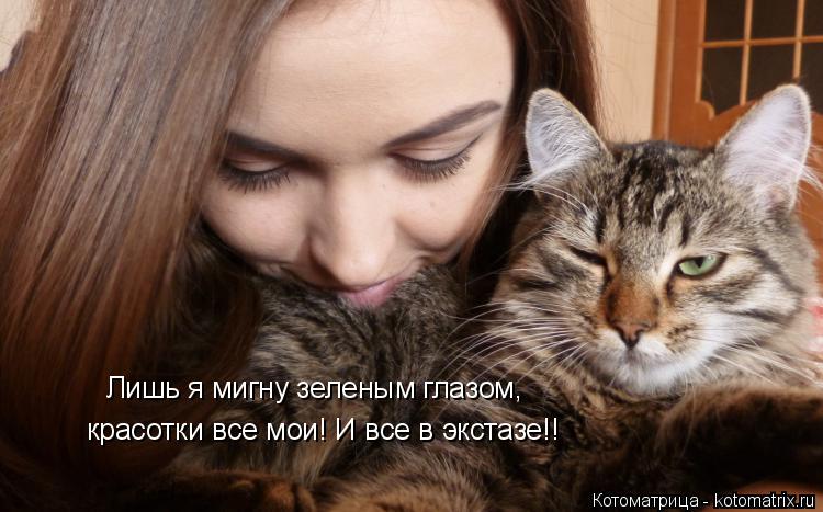 Котоматрица: Лишь я мигну зеленым глазом, красотки все мои! И все в экстазе!!