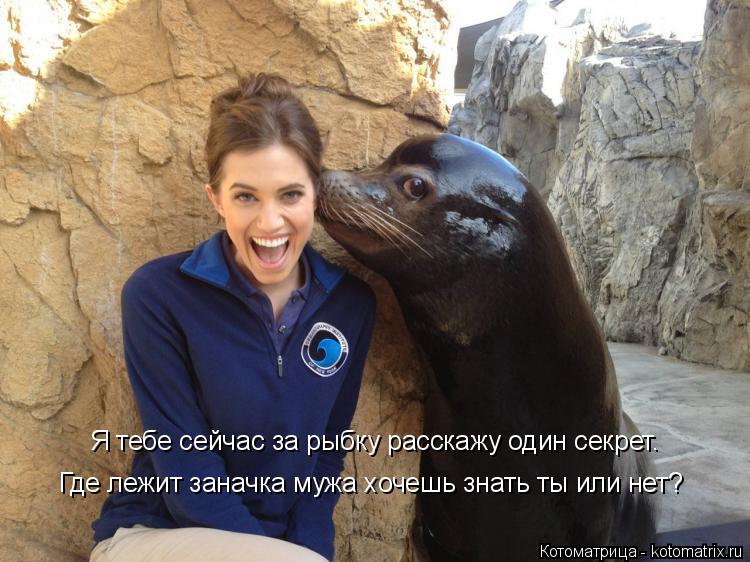 Котоматрица: Я тебе сейчас за рыбку расскажу один секрет. Где лежит заначка мужа хочешь знать ты или нет?