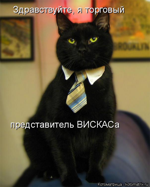 Котоматрица: Здравствуйте, я торговый представитель ВИСКАСа