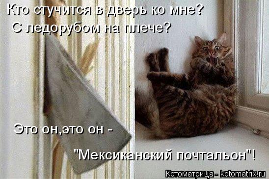 Котоматрица: Кто стучится в дверь ко мне? С ледорубом на плече? Это он,это он - "Мексиканский почтальон"!
