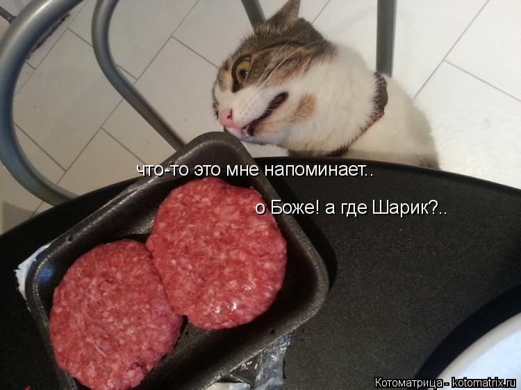 Котоматрица: что-то это мне напоминает.. о Боже! а где Шарик?..