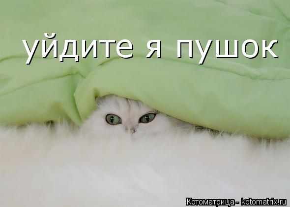 Котоматрица: уйдите я пушок