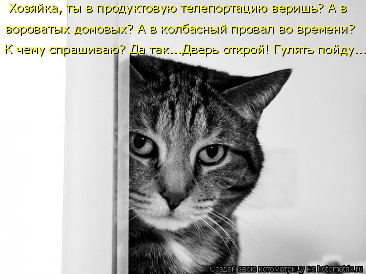 К чему спрашиваю? Да так...Дверь открой! Гулять пойду... вороватых домовых? А в колбасный провал во в... Котоматрица: К чему спрашиваю? Да так...Дверь открой! Гулять пойду... вороватых домовых? А в колбасный провал во времени? Хозяйка, ты в продуктовую телепорт