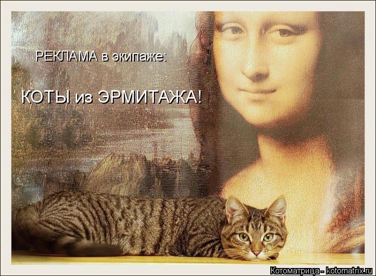 Котоматрица: РЕКЛАМА в экипаже: КОТЫ из ЭРМИТАЖА!