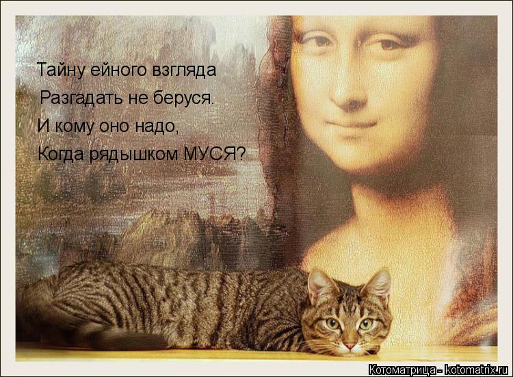 Тайну ейного взгляда Разгадать не беруся. И кому оно надо, Когда рядышком МУСЯ?... Котоматрица: Тайну ейного взгляда Разгадать не беруся. И кому оно надо, Когда рядышком МУСЯ?