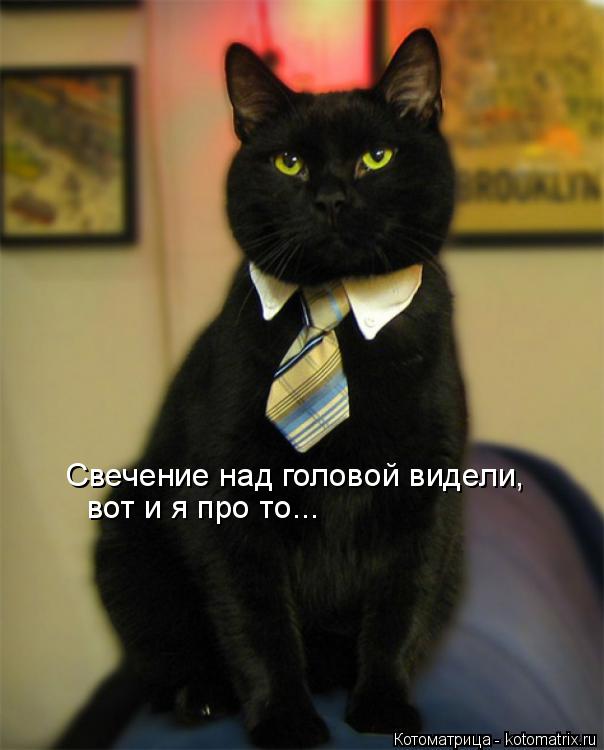 Котоматрица: Свечение над головой видели, вот и я про то...