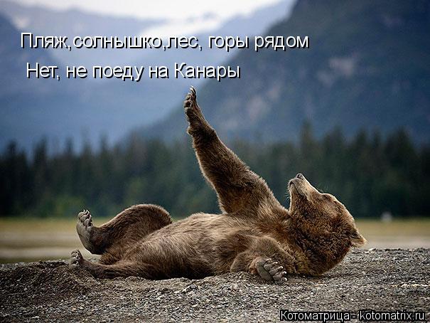 Пляж,солнышко,лес, горы рядом Нет, не поеду на Канары... Котоматрица: Пляж,солнышко,лес, горы рядом Нет, не поеду на Канары