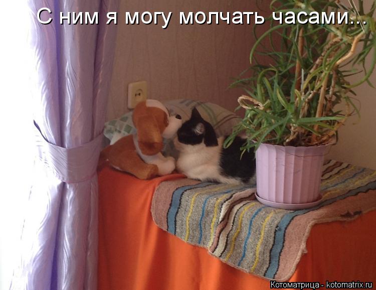 Котоматрица: C ним я могу молчать часами...