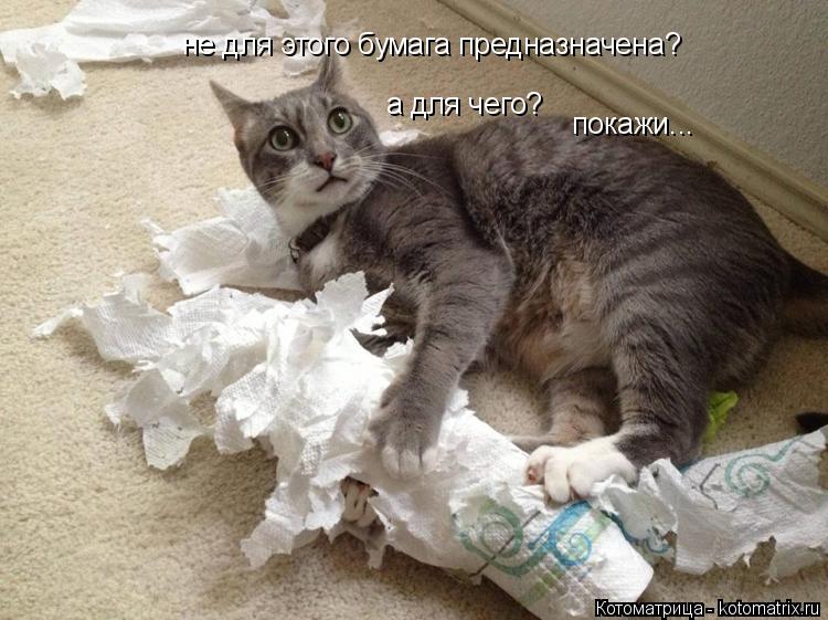 не для этого бумага предназначена? а для чего? покажи...... Котоматрица: не для этого бумага предназначена? а для чего? покажи...