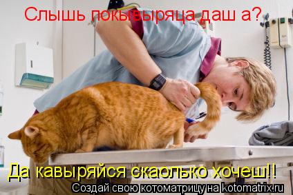 Котоматрица: Слышь покывыряца даш а? Да кавыряйся скаолько хочеш!!