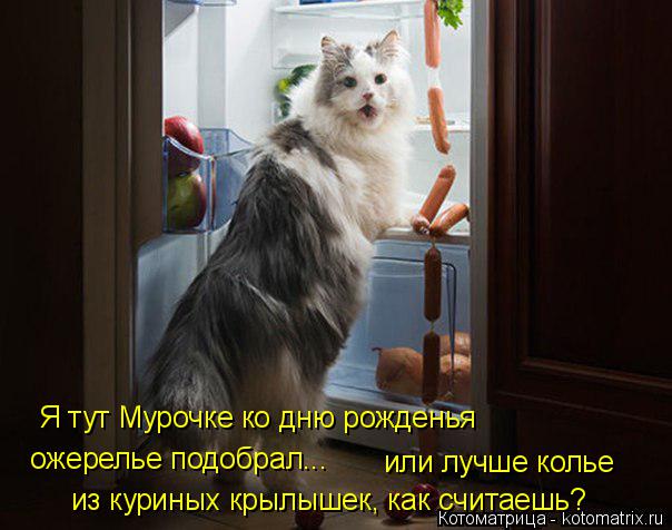 Я тут Мурочке ко дню рожденья ожерелье подобрал... или лучше колье из куриных крылышек, как считаешь?... Котоматрица: Я тут Мурочке ко дню рожденья ожерелье подобрал... или лучше колье из куриных крылышек, как считаешь?