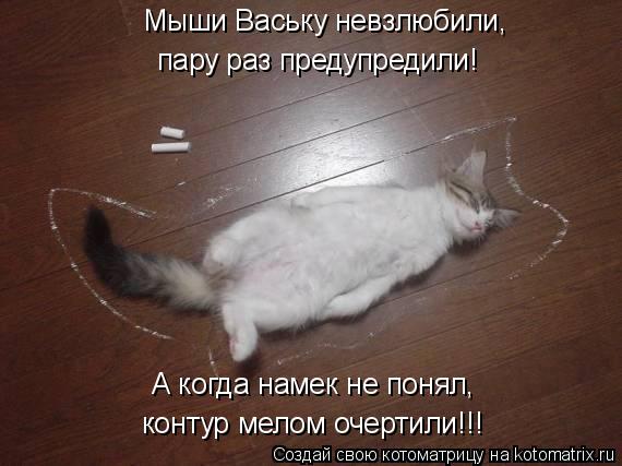 Котоматрица: А когда намек не понял, контур мелом очертили!!! Мыши Ваську невзлюбили, пару раз предупредили!