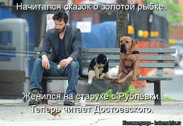 Котоматрица: Начитался сказок о золотой рыбке. Женился на старухе с Рублёвки. Теперь читает Достоевского.
