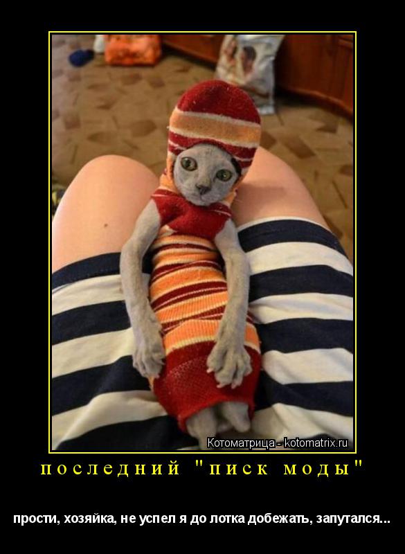 последний "писк моды" прости, хозяйка, не успел я до лотка добежать, запутался...... Котоматрица: последний "писк моды" прости, хозяйка, не успел я до лотка добежать, запутался...
