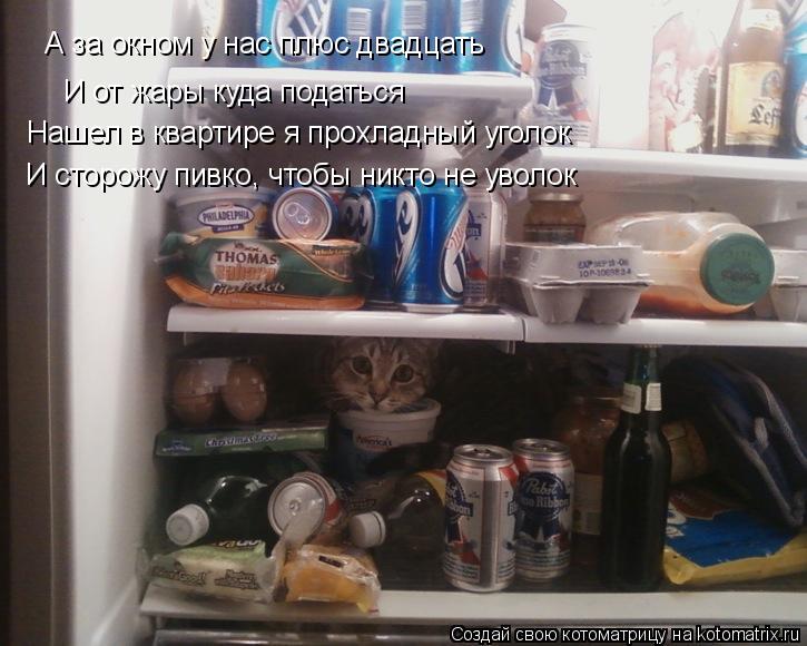 Котоматрица: А за окном у нас плюс двадцать И от жары куда податься Нашел в квартире я прохладный уголок И сторожу пивко, чтобы никто не уволок