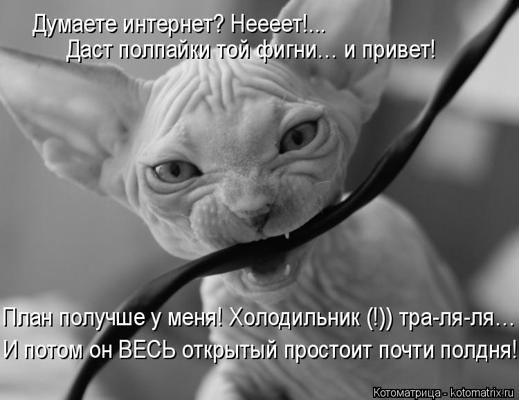 Думаете интернет? Неееет!... Даст полпайки той фигни… и привет! План получше у меня! Холодильник (!))... Котоматрица: Думаете интернет? Неееет!... Даст полпайки той фигни… и привет! План получше у меня! Холодильник (!)) тра-ля-ля… И потом он ВЕСЬ открытый прост