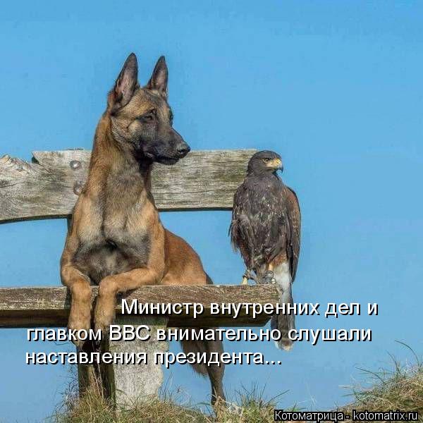 Министр внутренних дел и главком ВВС внимательно слушали наставления президента...... Котоматрица: Министр внутренних дел и главком ВВС внимательно слушали наставления президента...