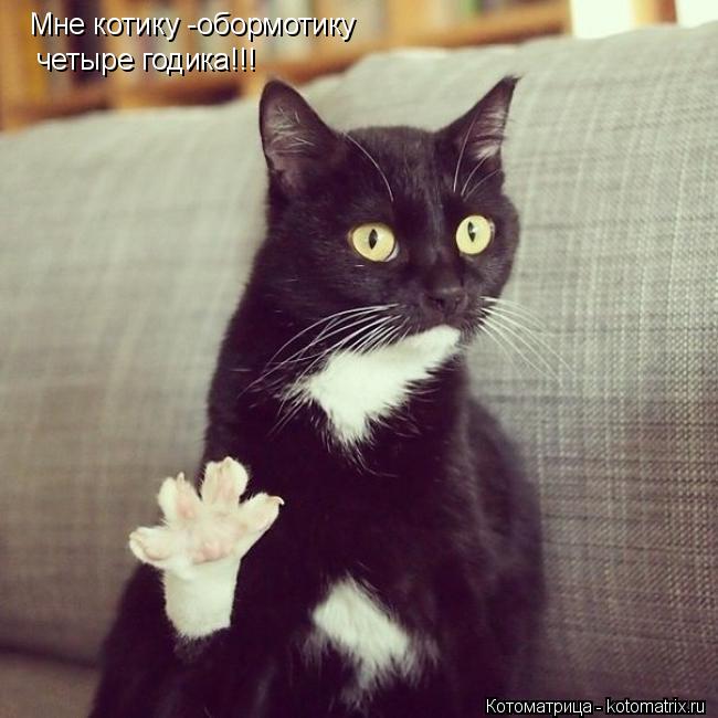 Котоматрица: Мне котику -обормотику  четыре годика!!!