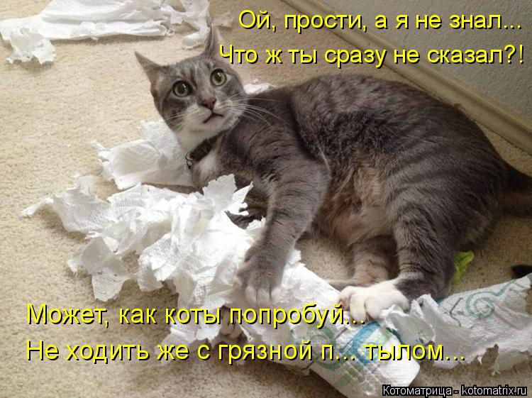 Ой, прости, а я не знал... Что ж ты сразу не сказал?! Может, как коты попробуй... Не ходить же с гряз... Котоматрица: Ой, прости, а я не знал... Что ж ты сразу не сказал?! Может, как коты попробуй... Не ходить же с грязной п... тылом...