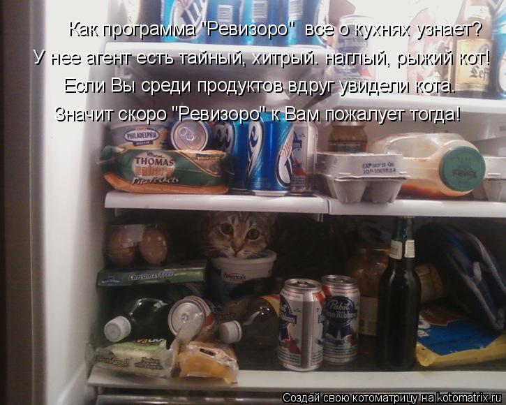 Котоматрица: Как программа "Ревизоро"  все о кухнях узнает? У нее агент есть тайный, хитрый. наглый, рыжий кот! Если Вы среди продуктов вдруг увидели кота. 
