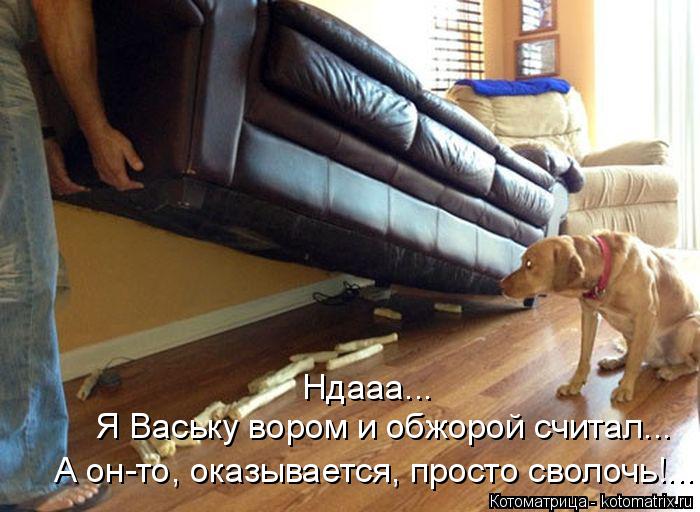 Котоматрица: Ндааа... Я Ваську вором и обжорой считал... А он-то, оказывается, просто сволочь!...