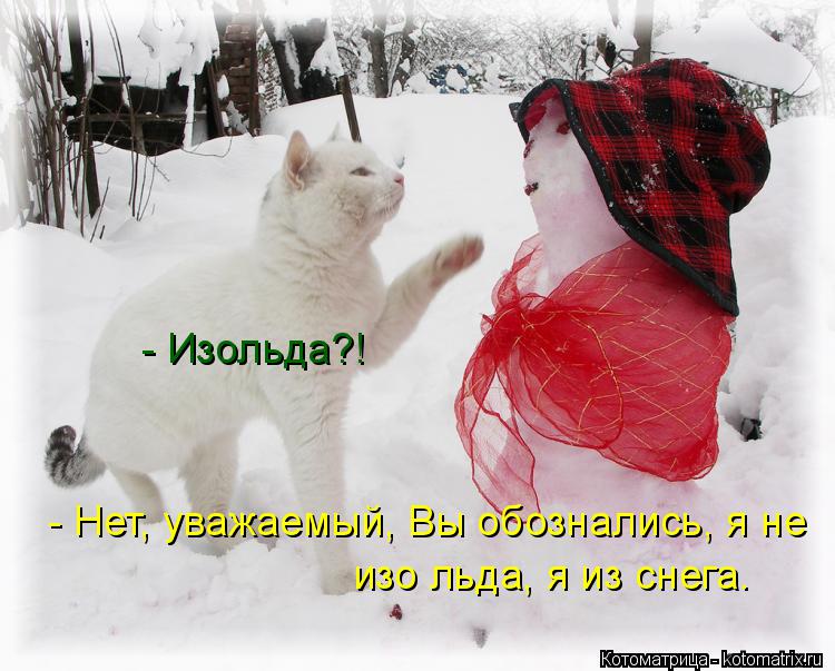 - Изольда?! - Нет, уважаемый, Вы обознались, я не изо льда, я из снега.... Котоматрица: - Изольда?! - Нет, уважаемый, Вы обознались, я не изо льда, я из снега.