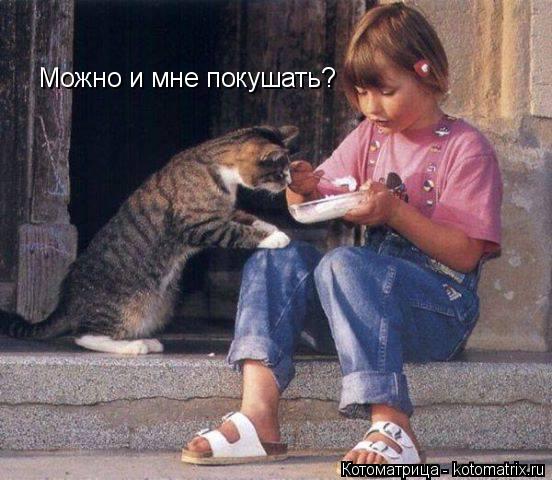 Можно и мне покушать?... Котоматрица: Можно и мне покушать?