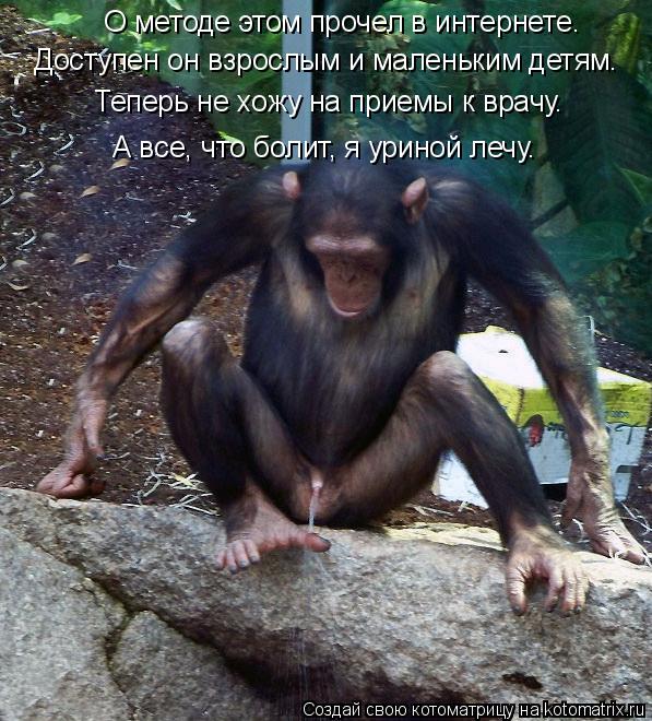 Котоматрица: О методе этом прочел в интернете. Доступен он взрослым и маленьким детям. Теперь не хожу на приемы к врачу. А все, что болит, я уриной лечу.