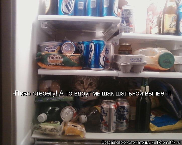 Котоматрица: -Пиво стерегу! А то вдруг мышак шальной выпьет!!