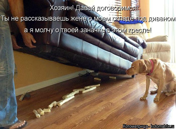 Котоматрица: Хозяин! Давай договоримся! Ты не рассказываешь жене о моем складе под диваном, а я молчу о твоей заначке в этом кресле!