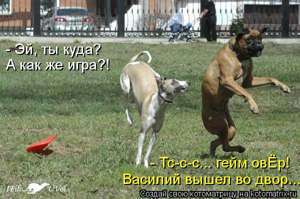 Котоматрица: - Тс-с-с... гейм овЁр! Василий вышел во двор... - Эй, ты куда? А как же игра?!
