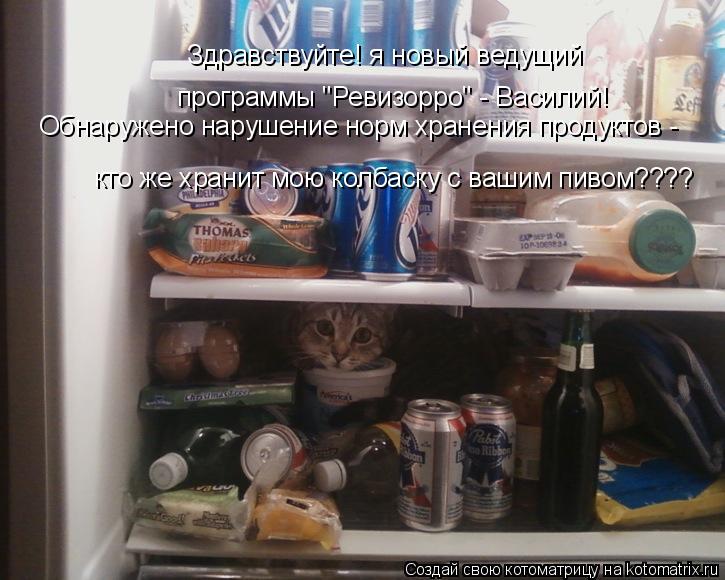 Котоматрица: Здравствуйте! я новый ведущий программы "Ревизорро" - Василий! Обнаружено нарушение норм хранения продуктов - кто же хранит мою колбаску с в