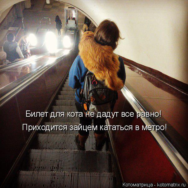Котоматрица: Приходится зайцем кататься в метро! Билет для кота не дадут все равно!